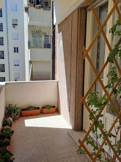 Apartment Casa Daisy Rom